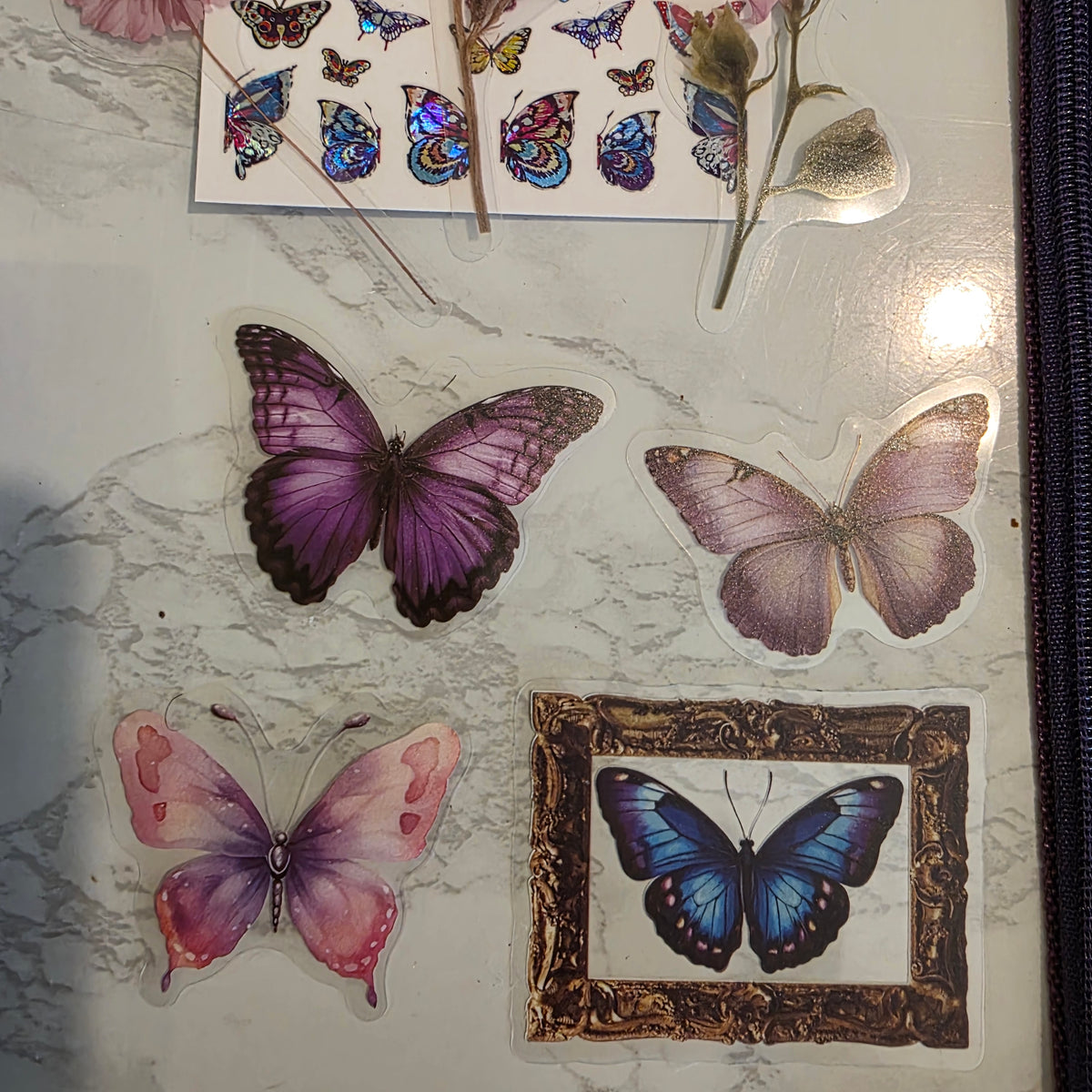 Whimsical Butterfly Set